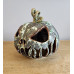 Wart Halloween Pumkin Wart Halloween Pumkin